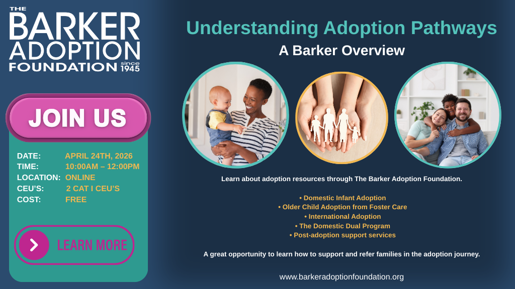 Understanding Adoption Pathways